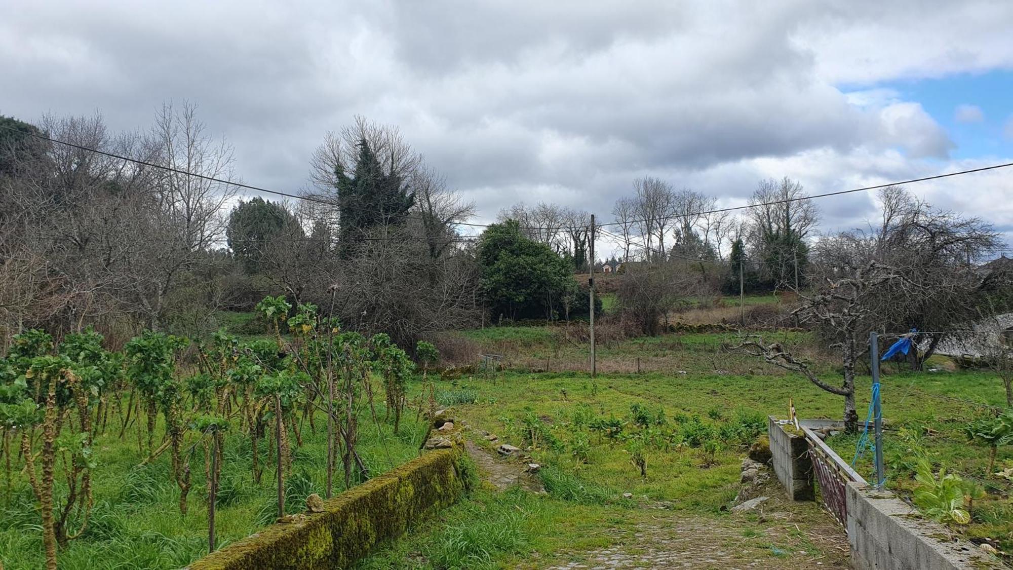 Apartamento T2 Zona Rural Vila Nova de Paiva Εξωτερικό φωτογραφία